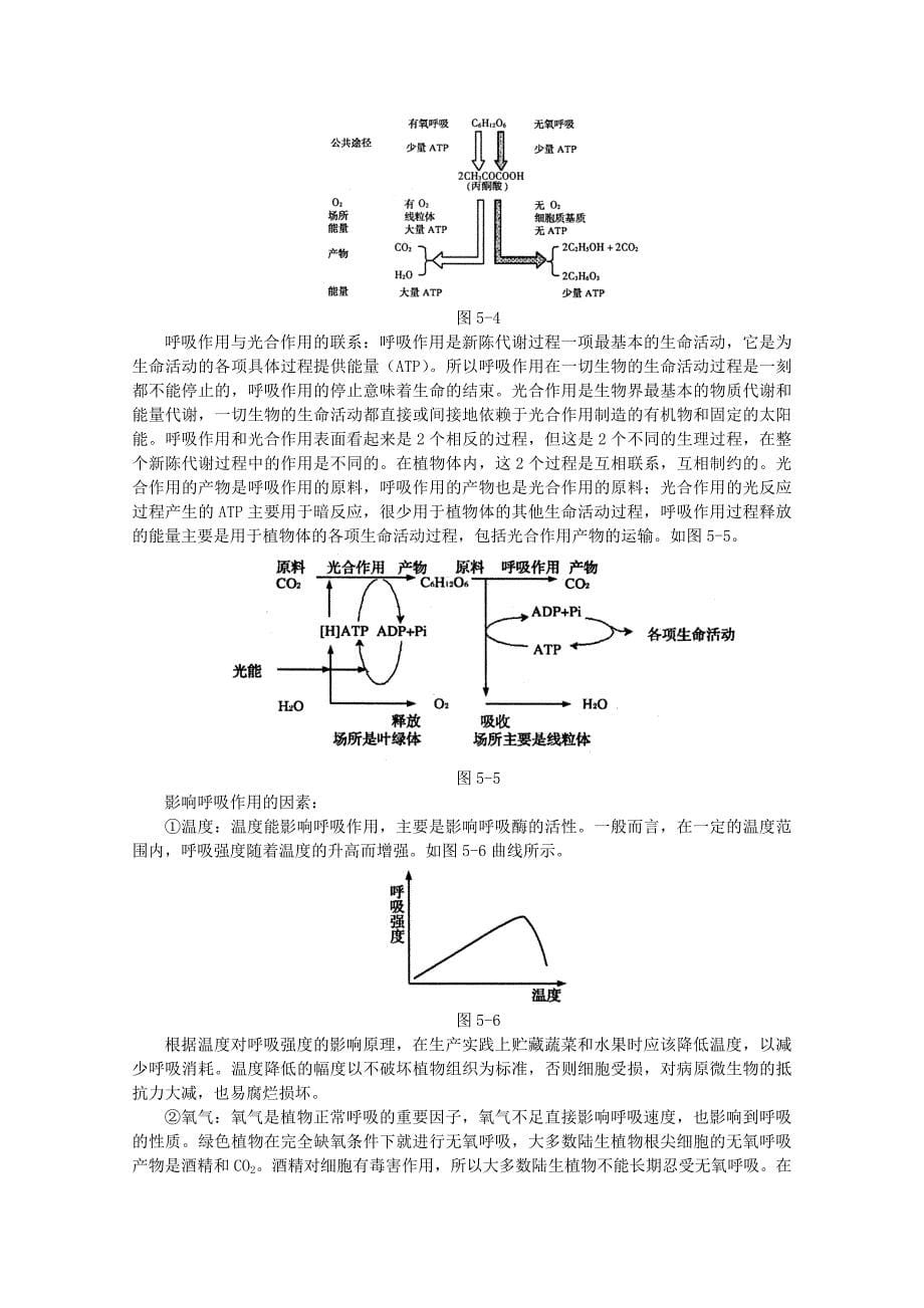 专题五光合作用和呼吸作用与碳循环和能量流动1_第5页