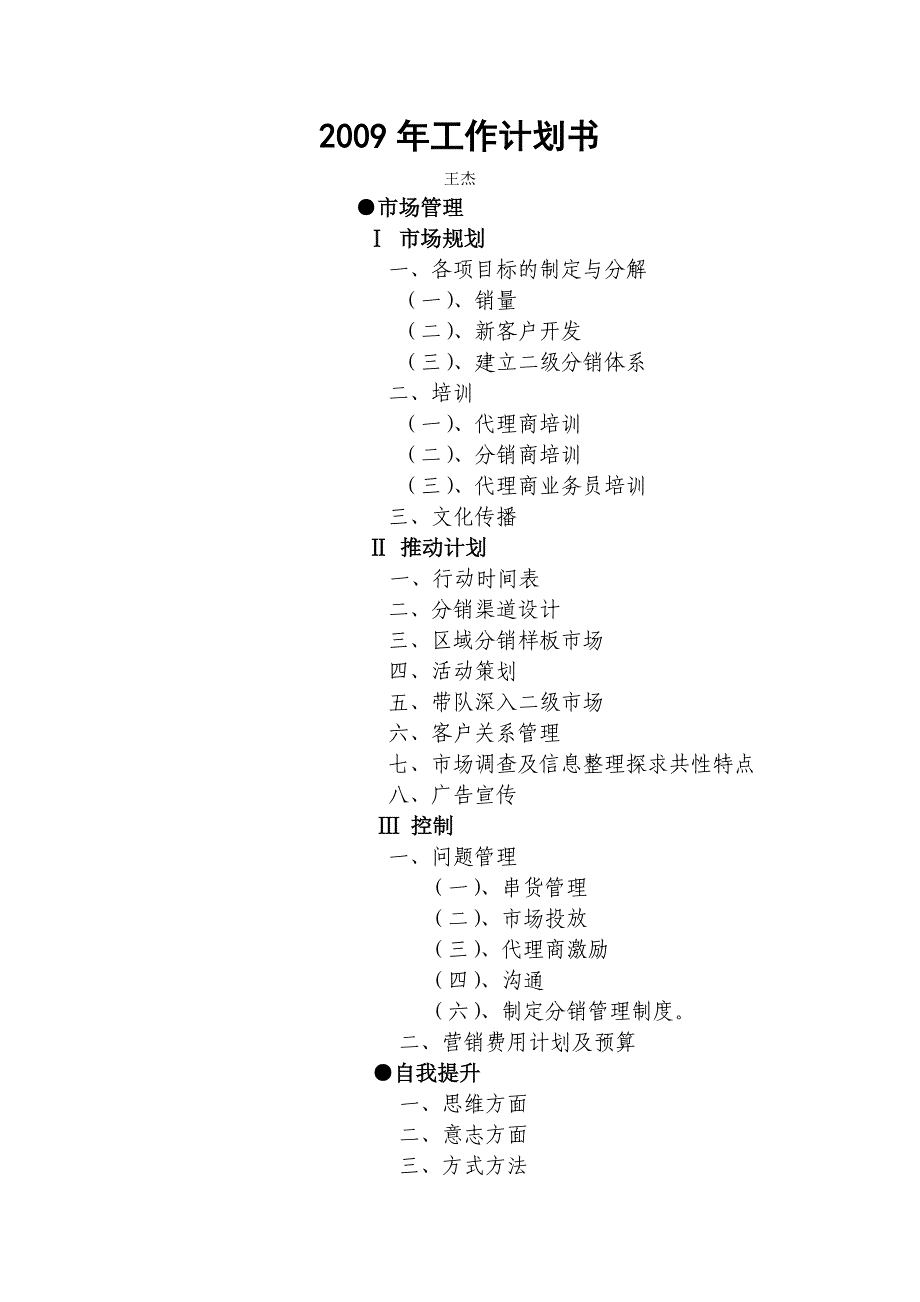 区域经理年度工作计划_第1页