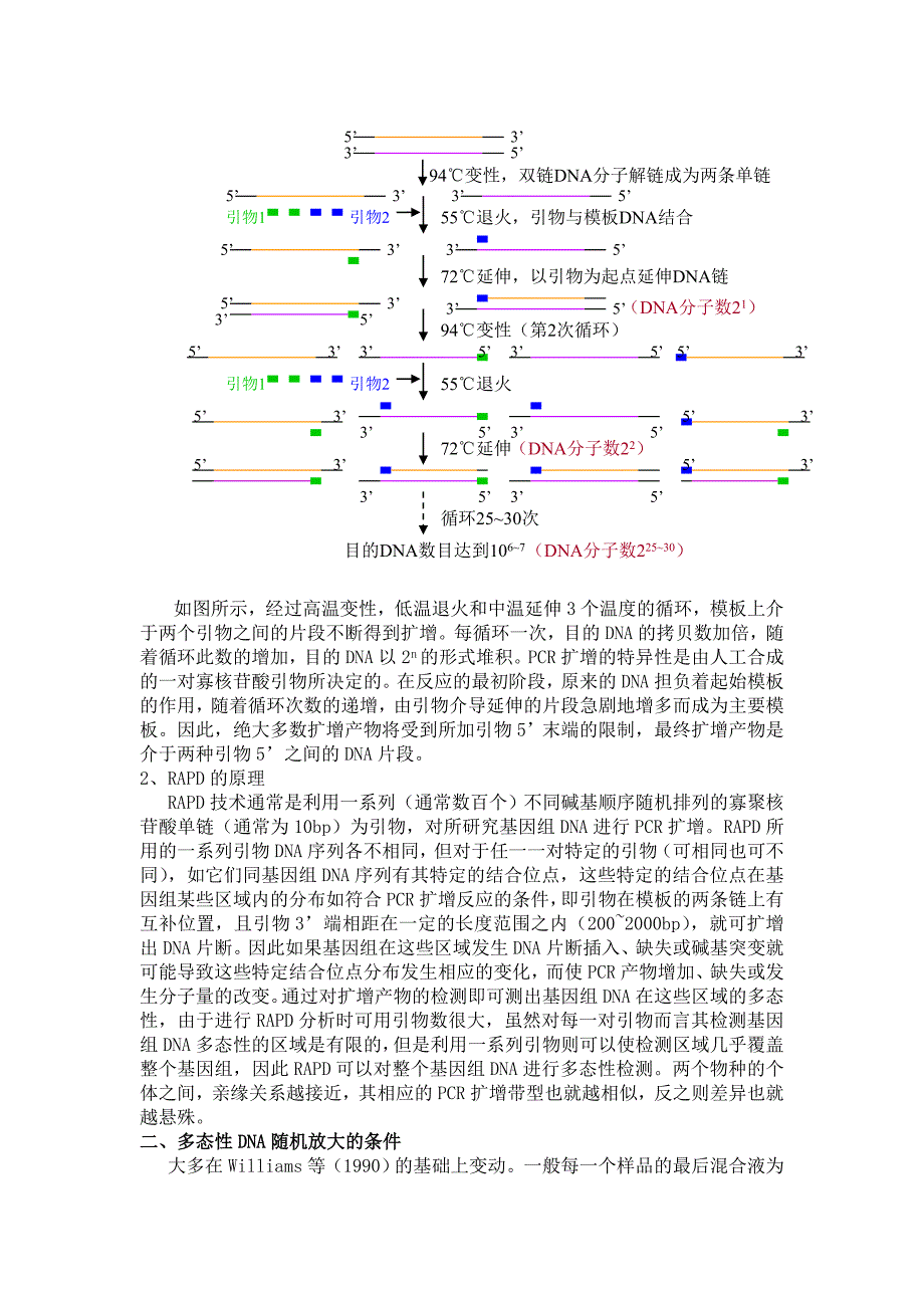 浙江大学生物化学实验甲 植物材料基因组DNA多态性分析_第2页