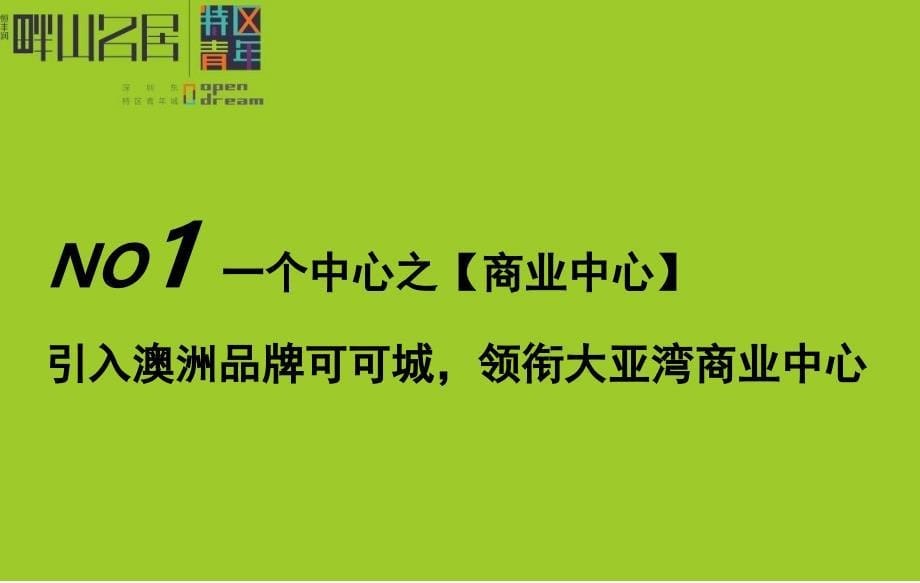 恒丰润·特区青年城项目介绍_第5页