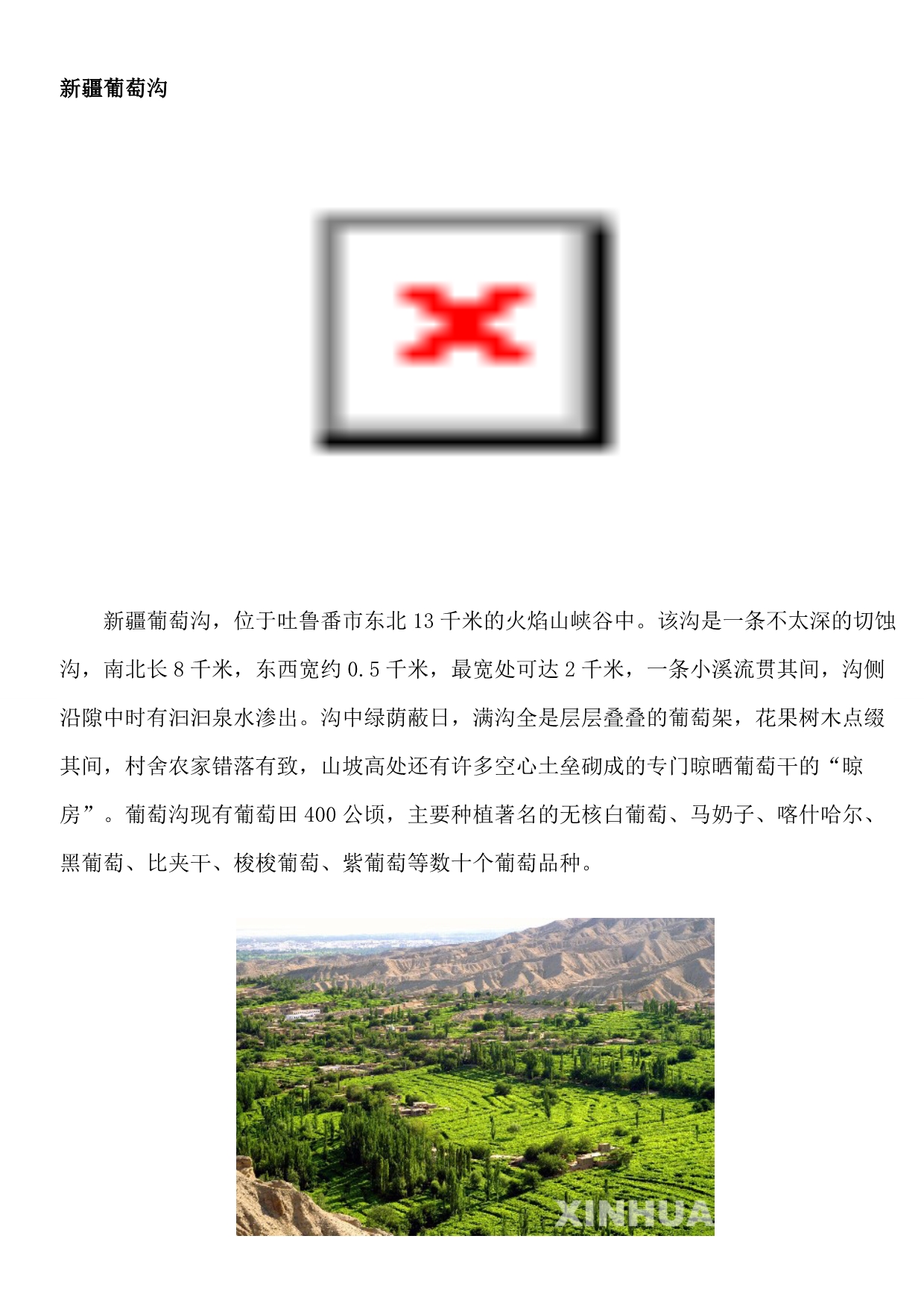 葡萄沟资料_第1页