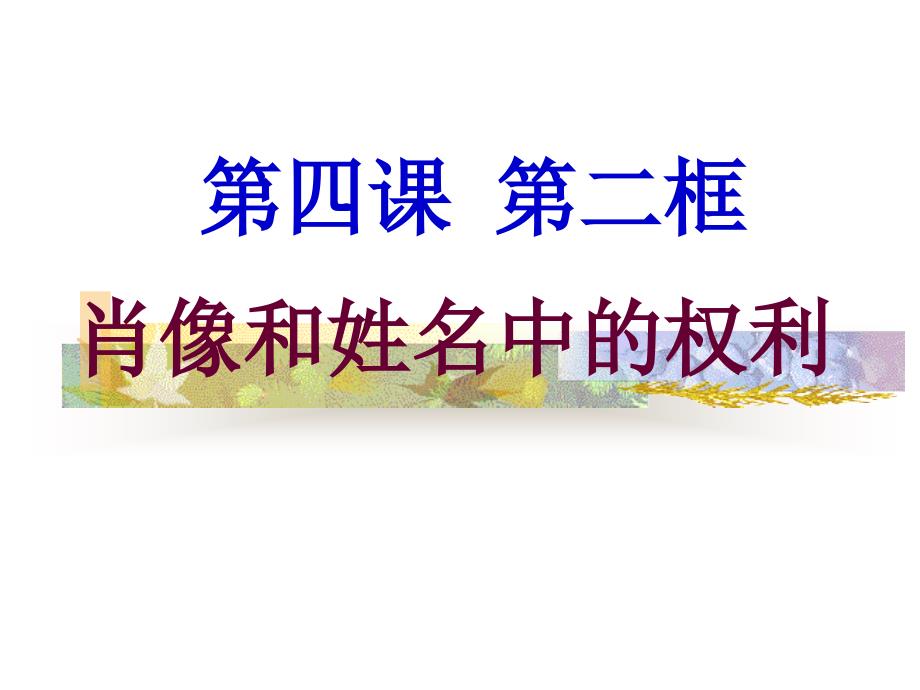 思想品德八年级下册第二单元第四课第二框教学课件1_第1页