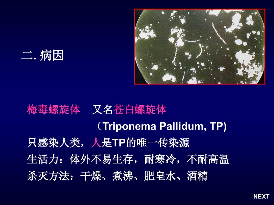 性传播疾病的口腔表征_第3页