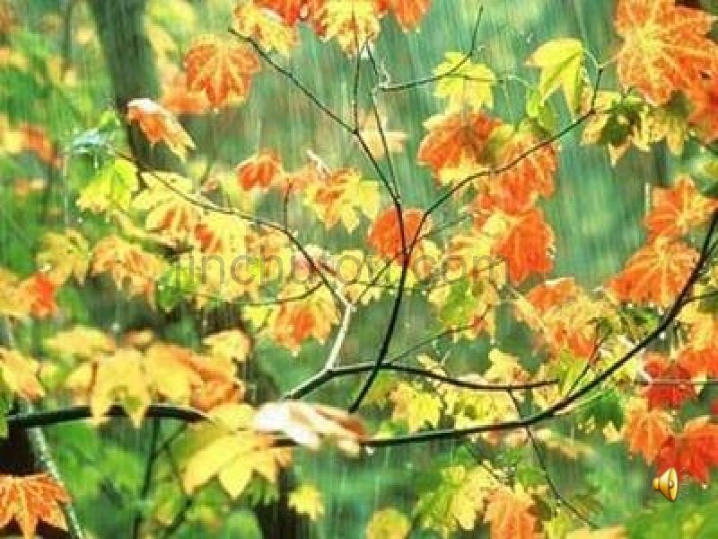 第11课秋天的雨课件_第1页