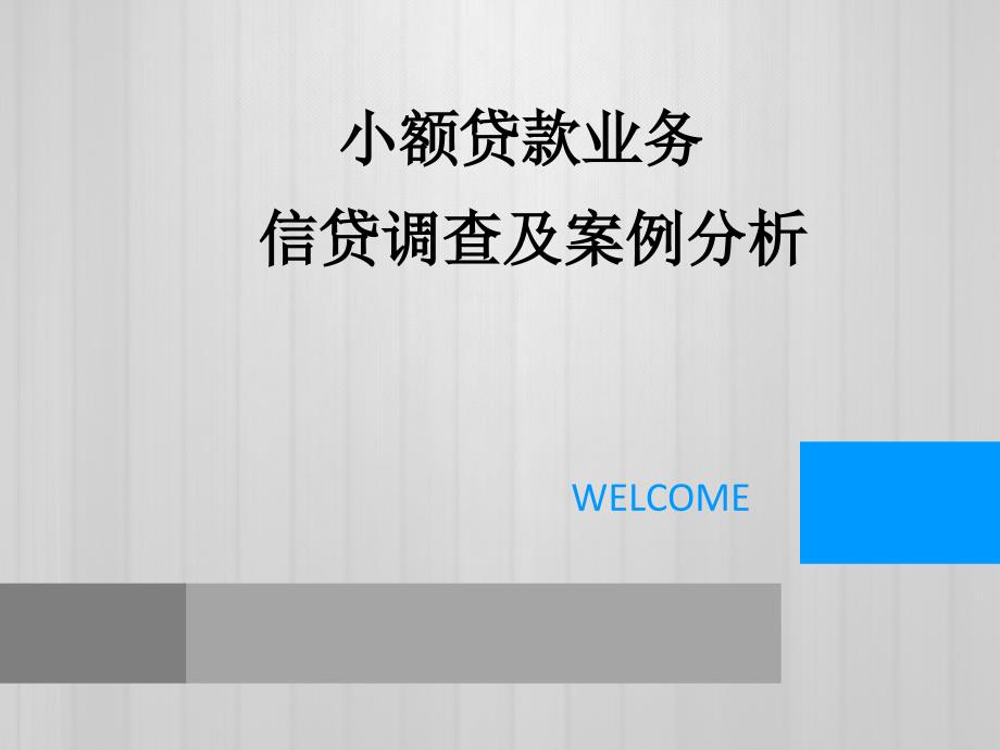 小额贷款业务信贷调查及案例分析_第1页