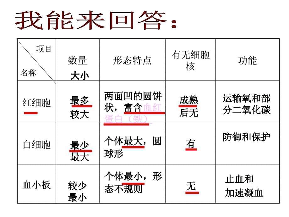 物质运输的载体第一课时-济南版_第5页