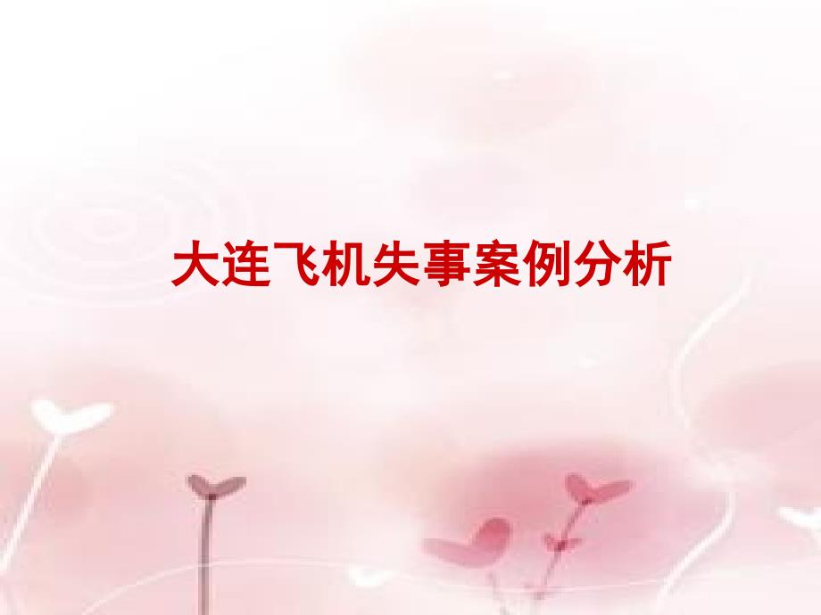 大连飞机失事案例分析_第1页