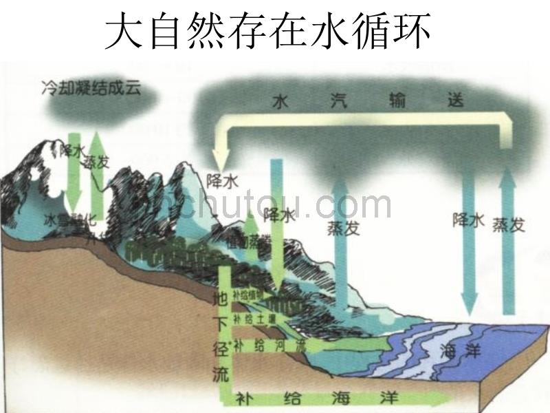 自然界中的碳循环总结版_第1页