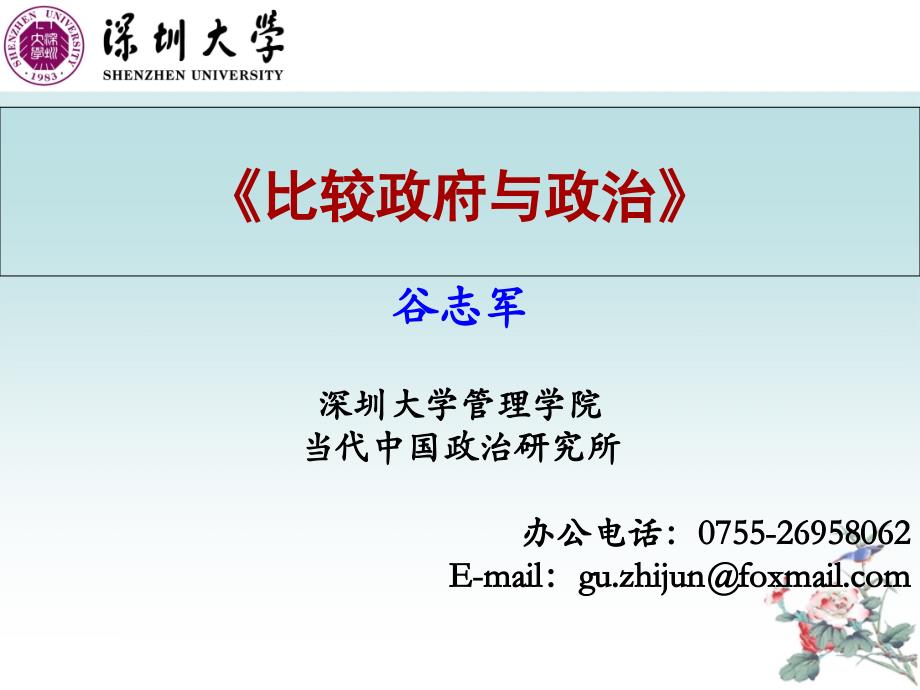 巴西政府与政治_第1页