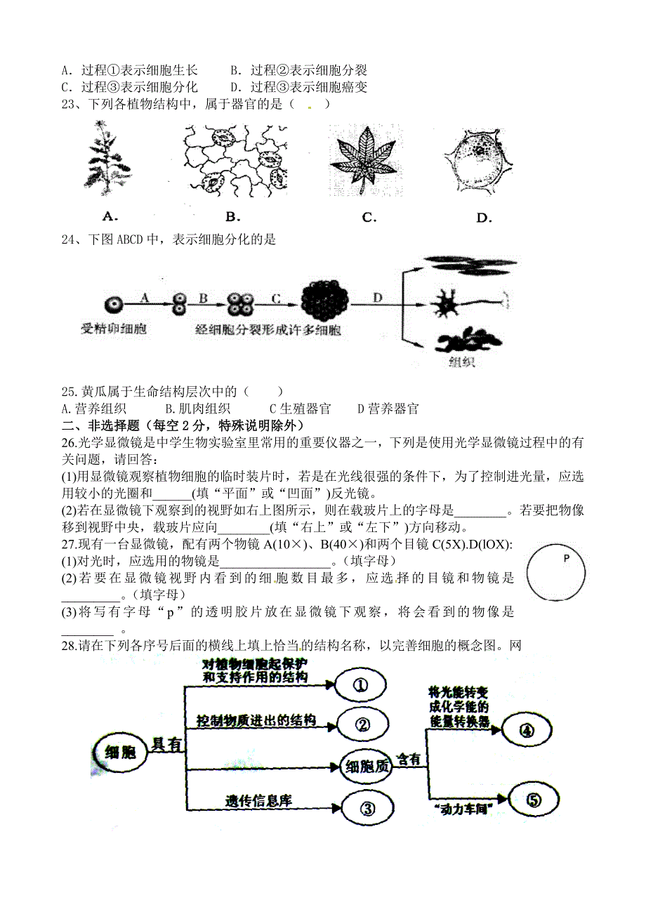 中考生物专题训练二 生命的结构层次_第3页