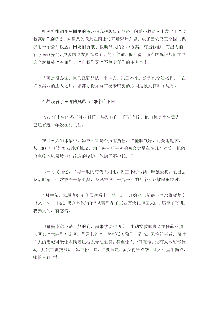 藏獒“黑八”活着的六年活的奢侈品藏獒逐渐走下神坛_第3页