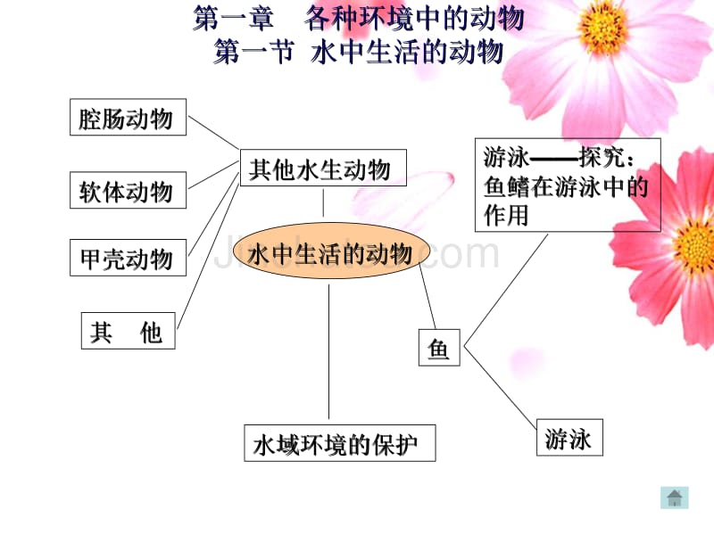 zr生物八年级总复习上册1_第2页