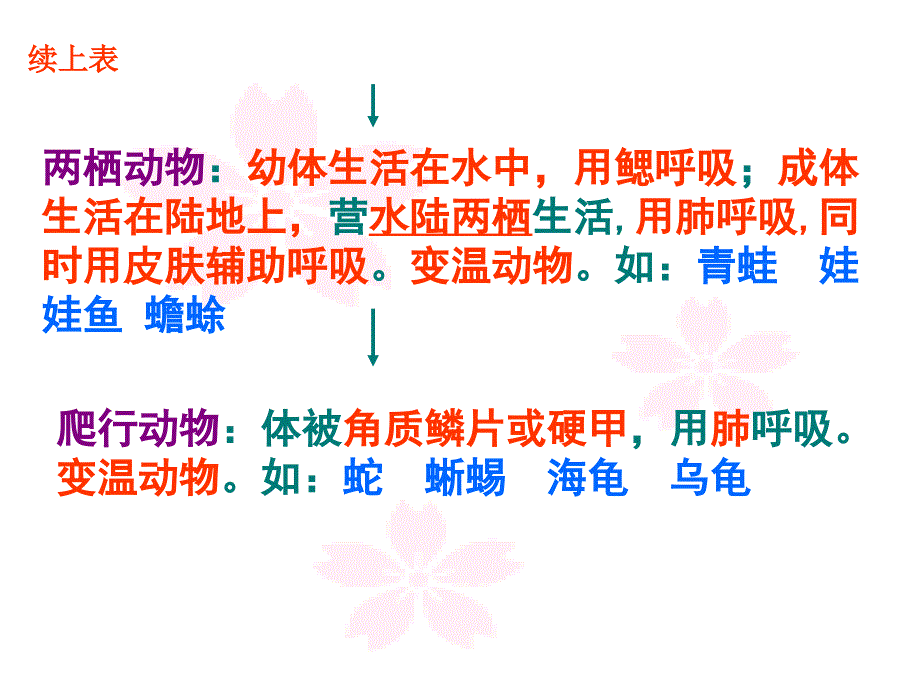 八年级生物第一学期期末考辅导_第4页