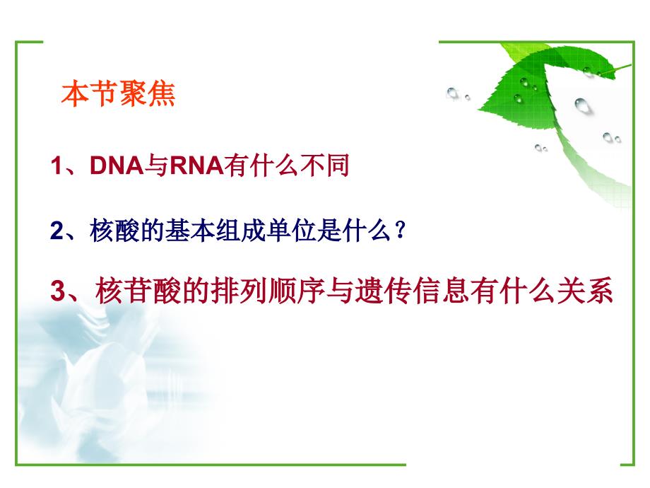 遗传信息的携带者--核酸_第4页