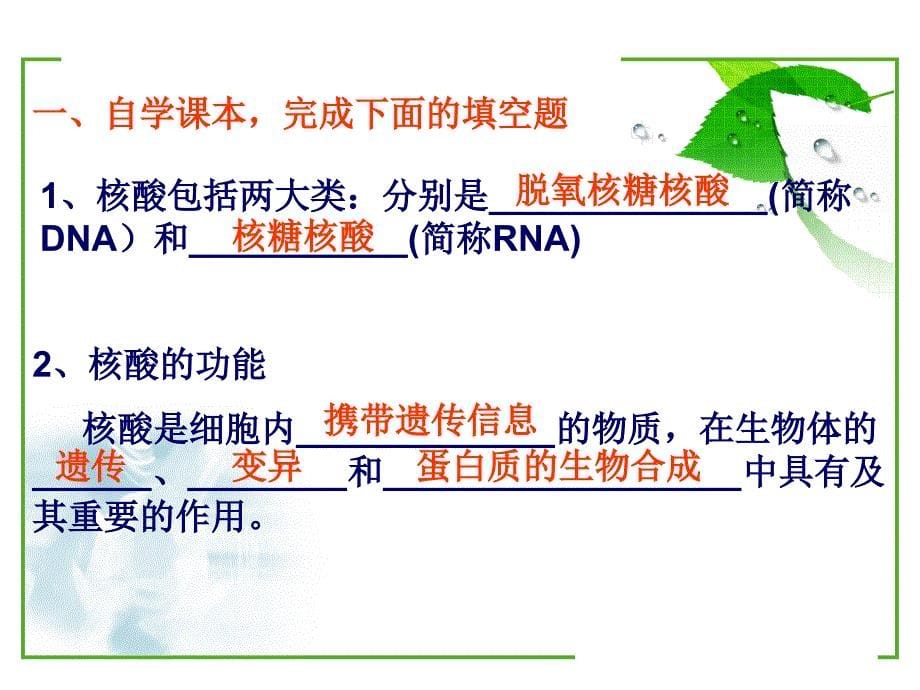 遗传信息的携带者--核酸_第5页