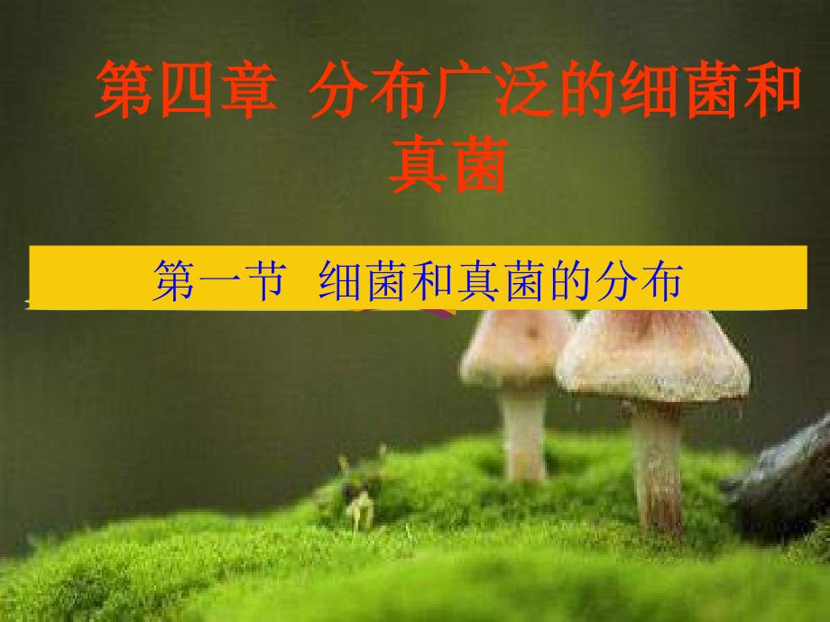 八年级生物第四章第一节细菌和真菌的分布课件上课用_第1页