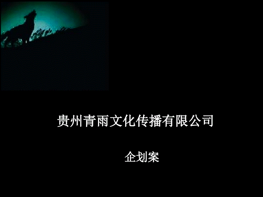 贵州青雨文化传播公司企划案_第1页