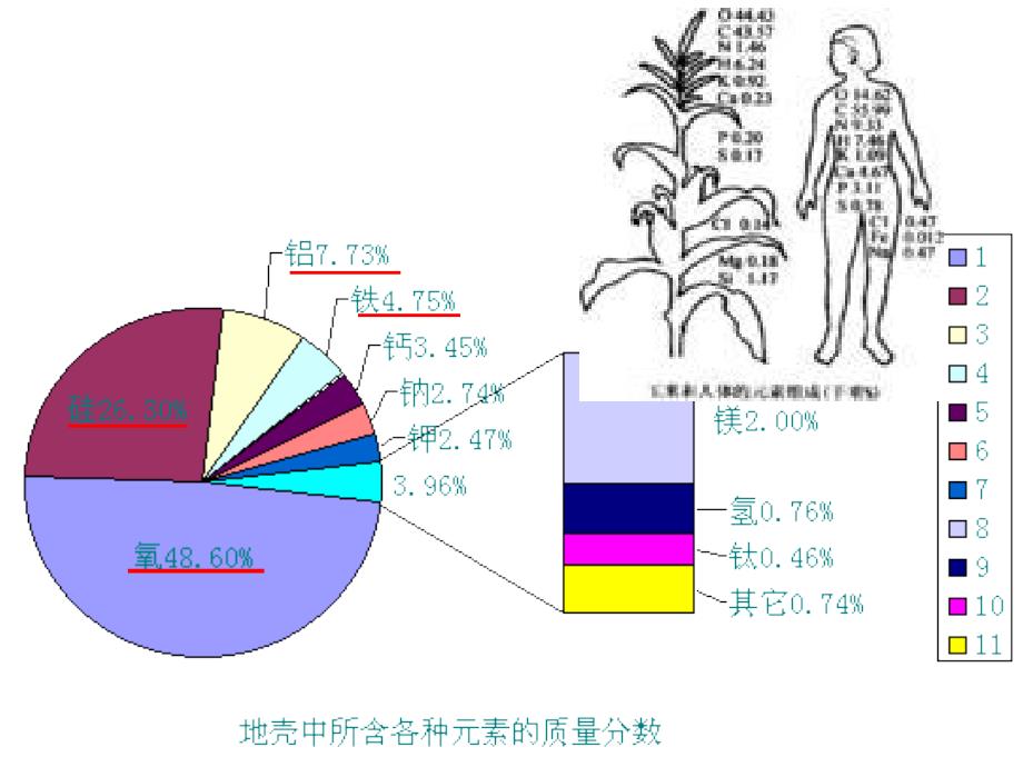 【高中·生物】生命的物质基础_第2页