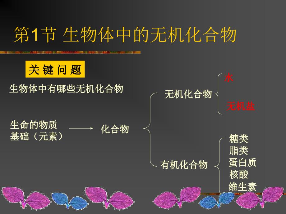 【高中·生物】生命的物质基础_第4页