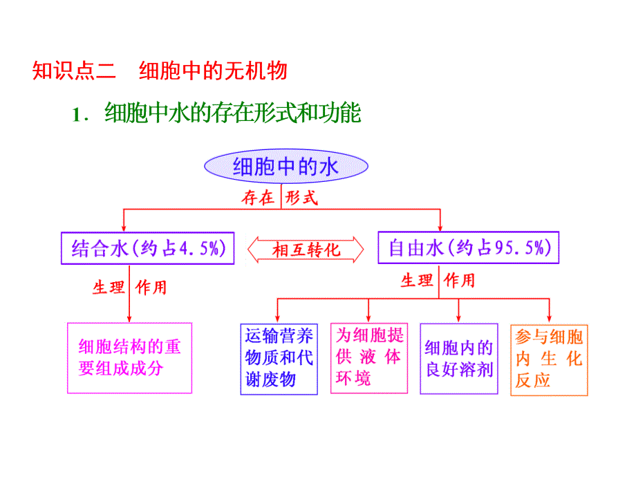 高三(元素和化合物)_第4页