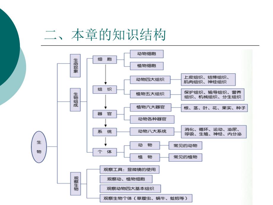 七上第二章《观察生物》分析(金松涛)(1)_第4页