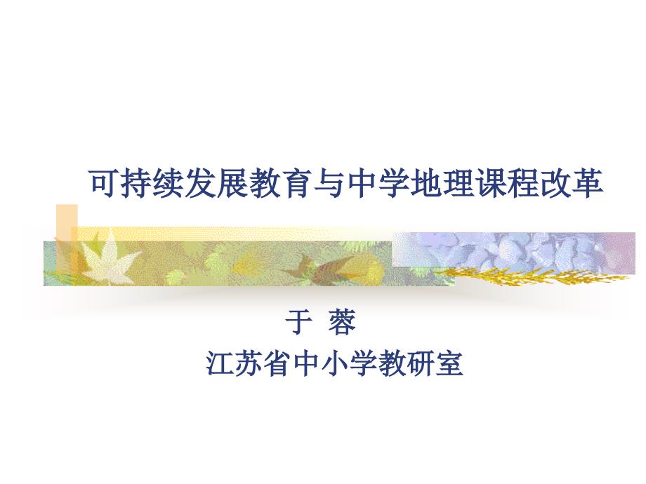 可持续发展教育与中学地理课程改革_第1页