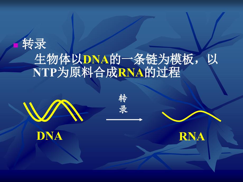 RNA的生物合成(转录)_第3页