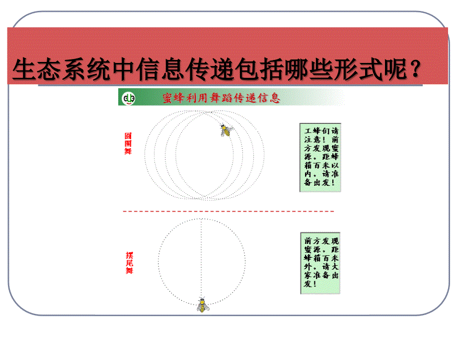 生态系统中的信息传递_第4页