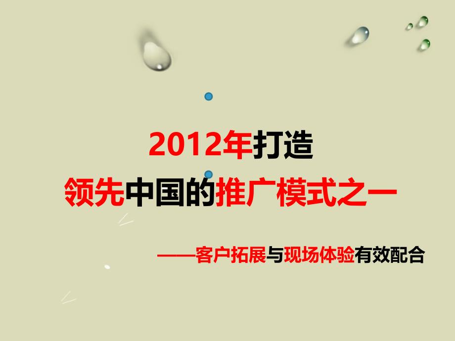 碧桂园专业PPT拓客行销方案_第3页