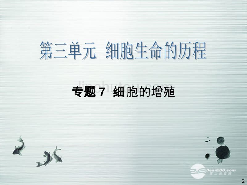 【四元聚焦】2014高考生物大一轮复习 专题7 细胞的增殖配套课件 新人教版 _第2页