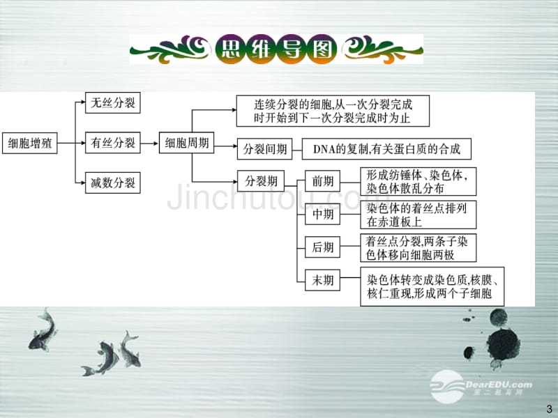 【四元聚焦】2014高考生物大一轮复习 专题7 细胞的增殖配套课件 新人教版 _第3页