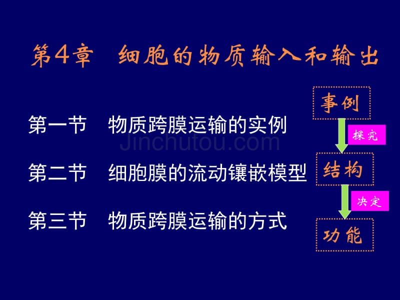 物质跨膜运输的实例_第2页