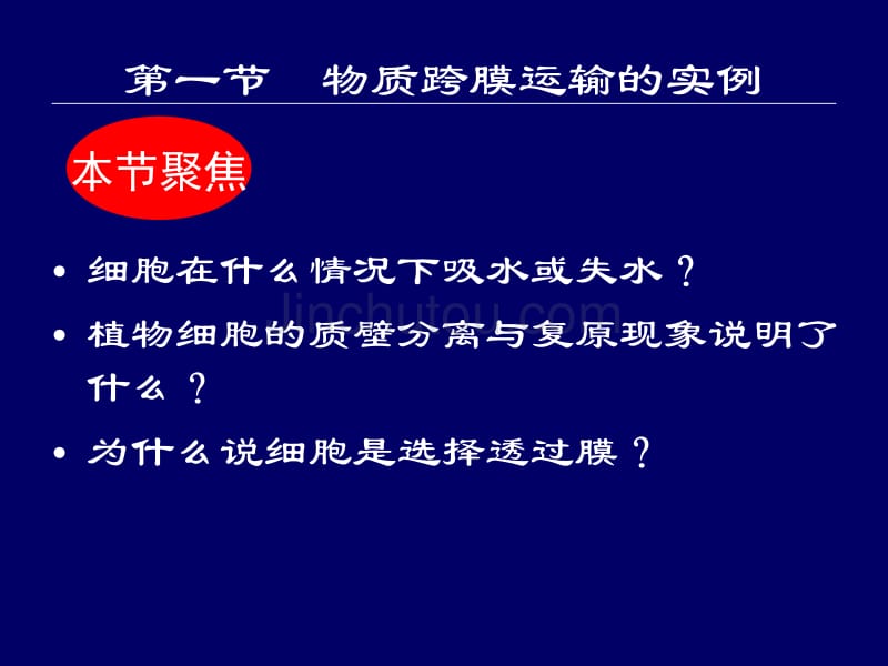 物质跨膜运输的实例_第3页