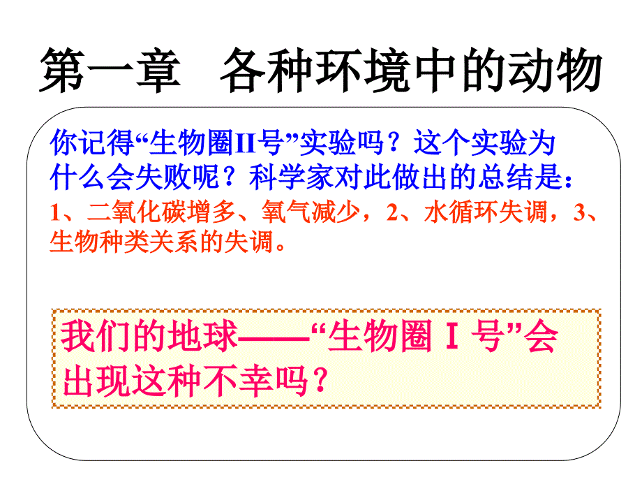 水中生活的动物1_第1页