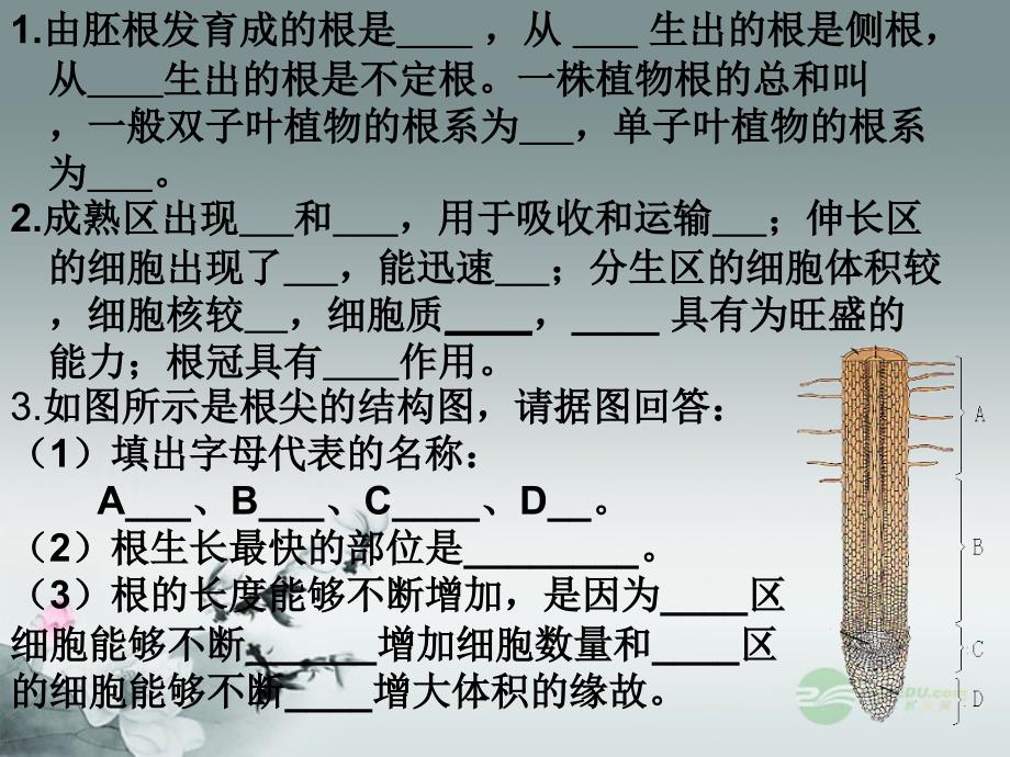 山东省邹平县实验中学八年级生物上册《4.1.6 芽的类型和结构》课件 济南版_第1页