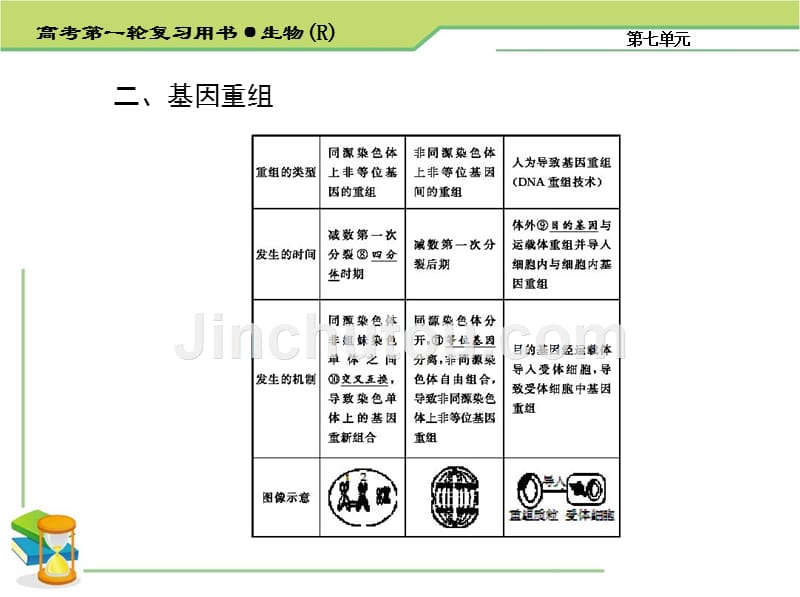 生物的变异育种与进化_第4页