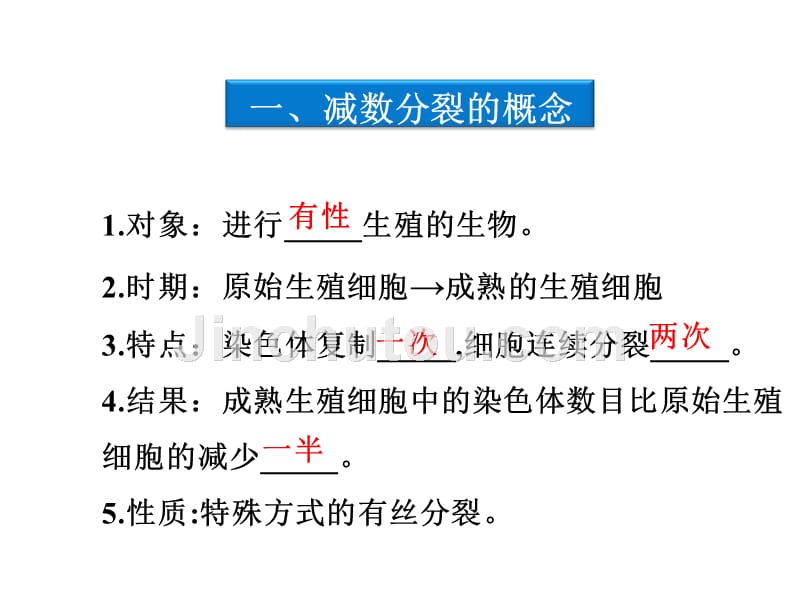 广东省梅州市五华县城镇中学高一生物必修2课件：减数分裂和受精作用_第4页