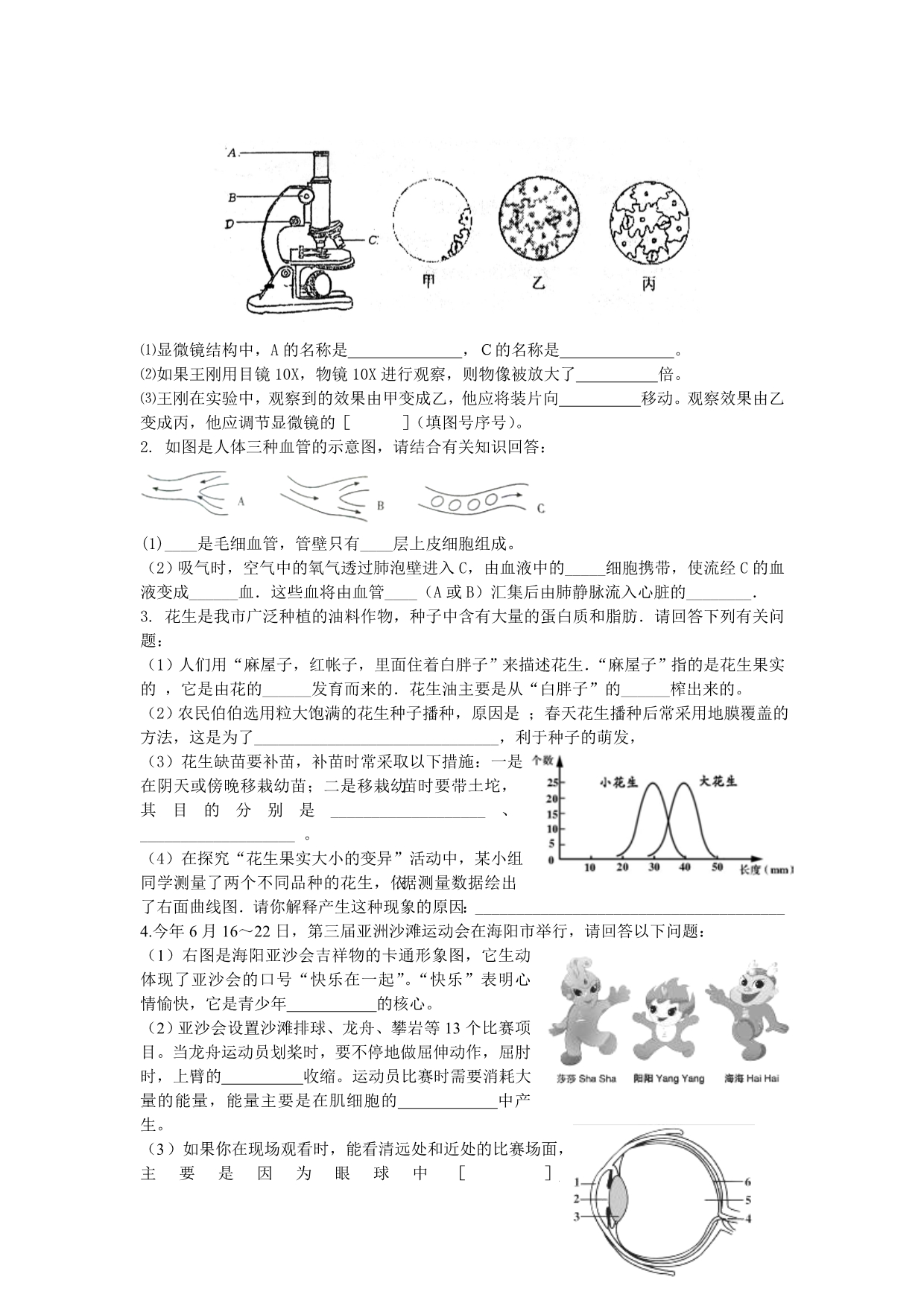 九年级生物综合训练题(四)_第4页