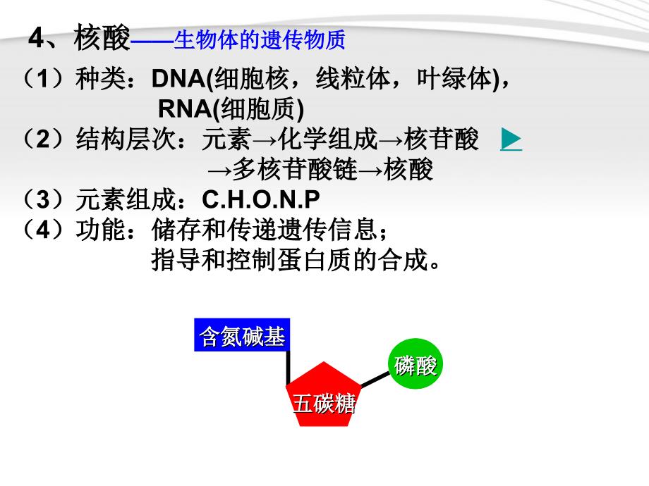 高中生物1.3有机化合物及生物大分子课件浙教版必修1_第3页