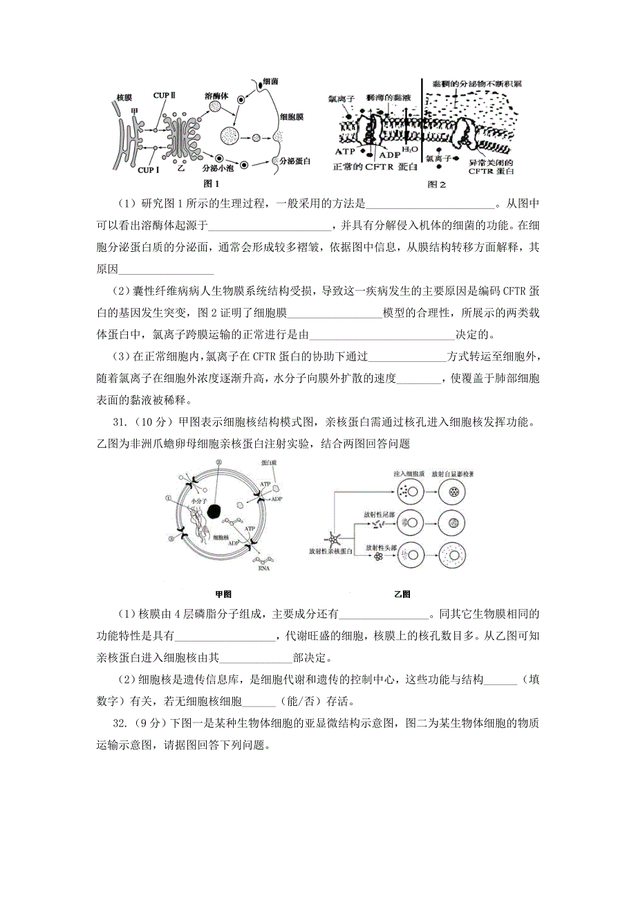 重庆市万州二中2016届高三上学期9月月考生物试卷 含答案_第3页