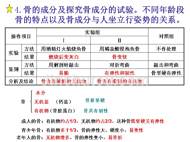 会考复习PPT4-生物圈中的动物和微生物_第5页