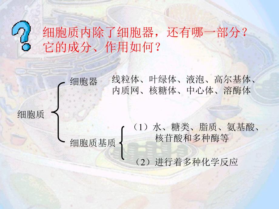 细胞器结构和功能介绍_第4页