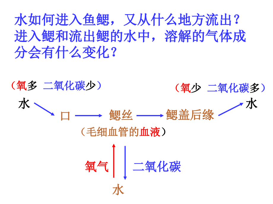 八年级生物上册总复习课件2_第2页