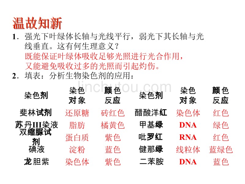 细胞的新陈代谢水和无机盐的吸收_第1页