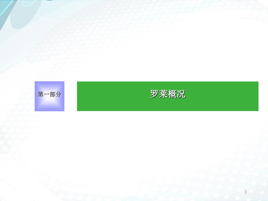 罗莱家纺电子商务之路分析_第3页