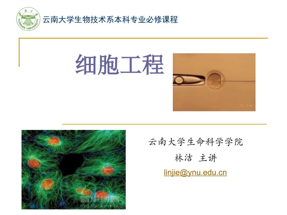 动物细胞培养的生物学知识_第1页