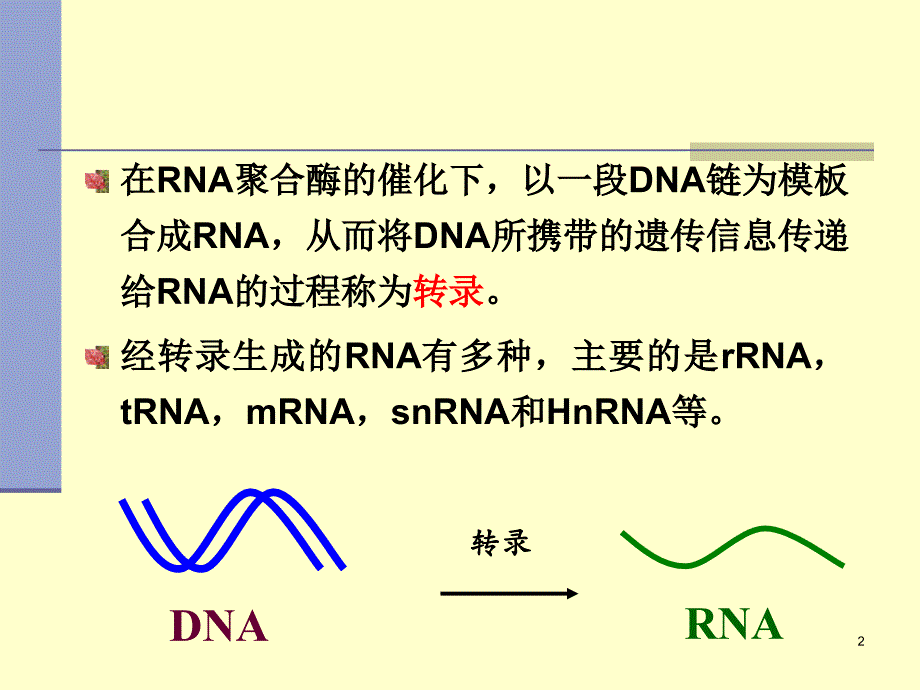 核酸的合成(RNA)_第2页