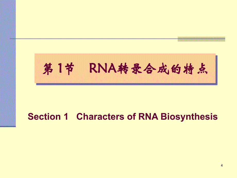 核酸的合成(RNA)_第4页