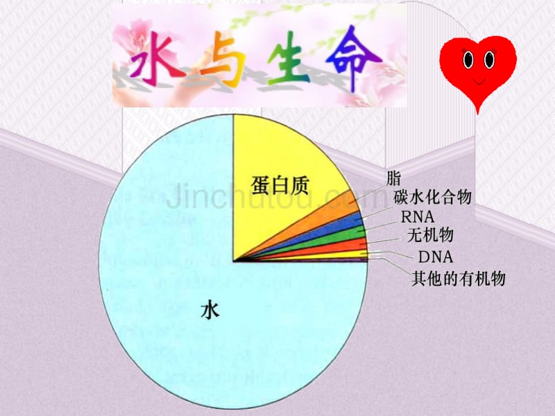 洪彦飞之七大营养素-水_第5页