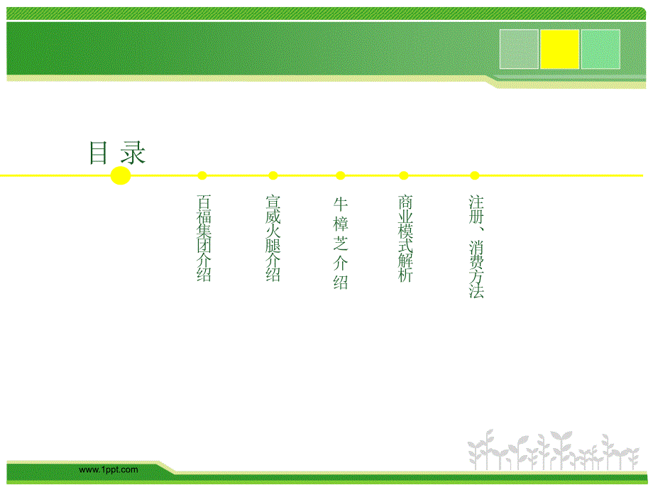 百福集团商业模式_第2页